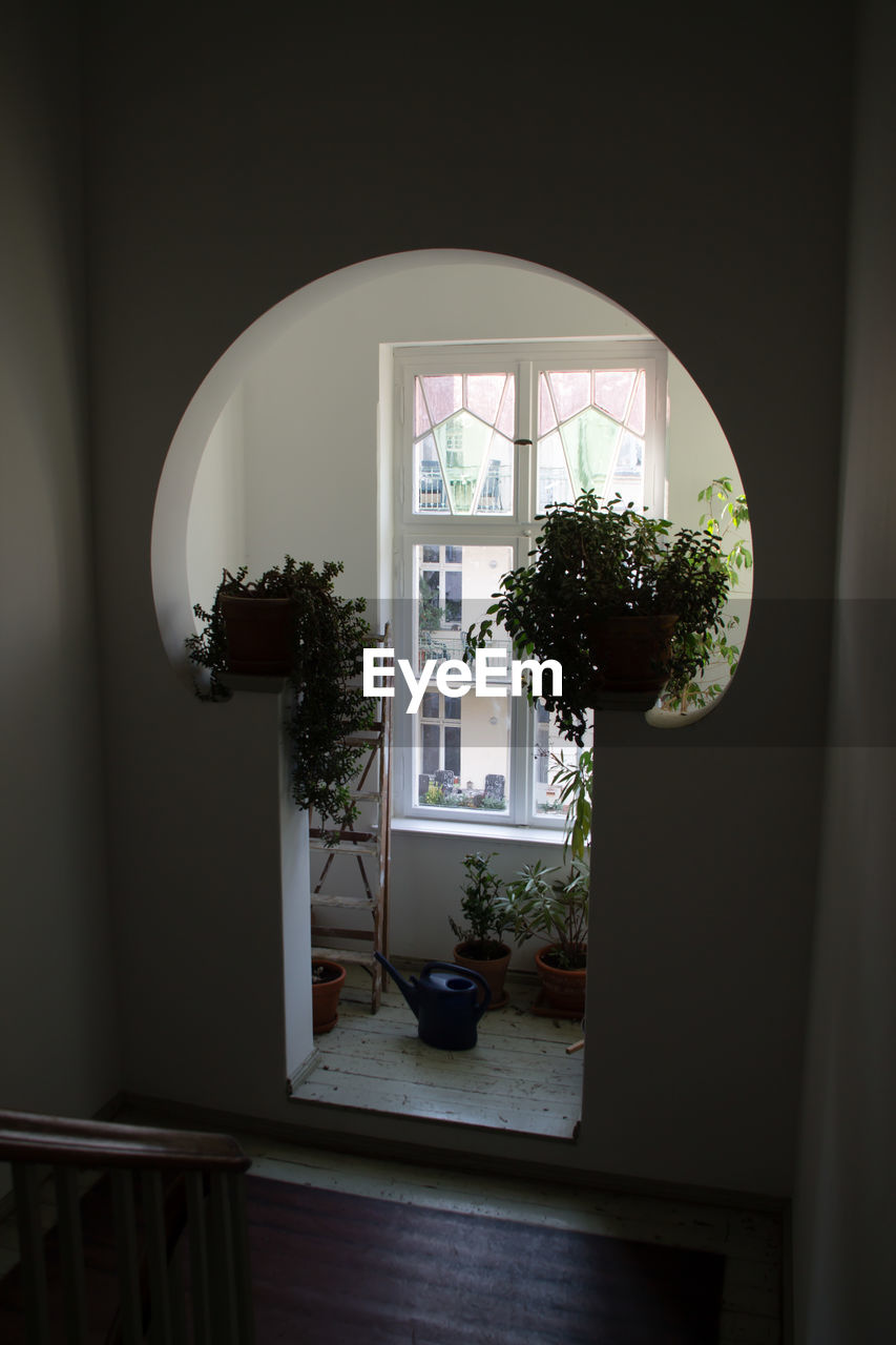 POTTED PLANTS ON WINDOW SILL