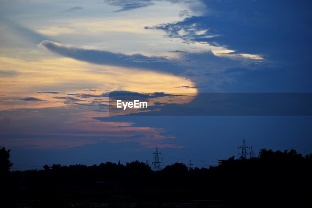 LOW ANGLE VIEW OF SILHOUETTE TREES AGAINST SKY