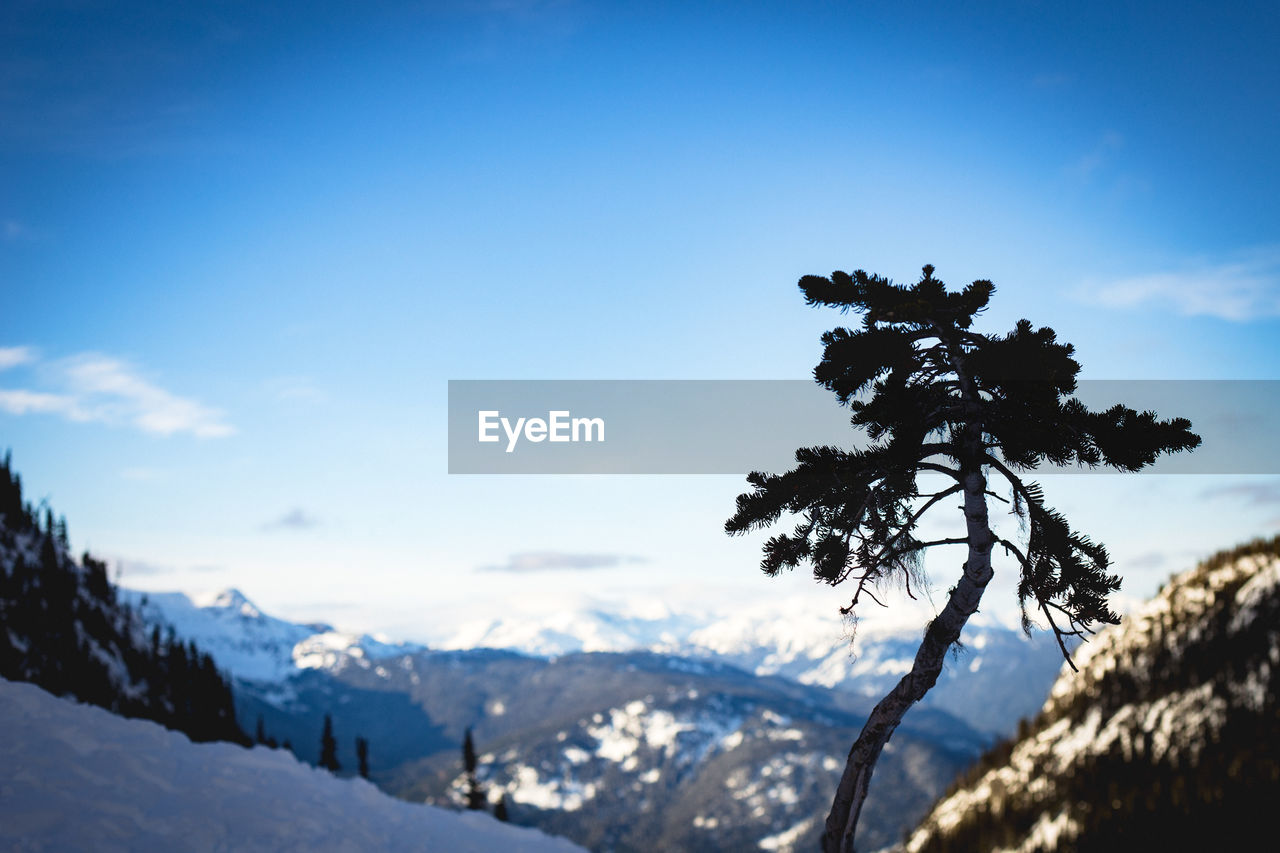 Scenic view of snow covered mountains against blue sky