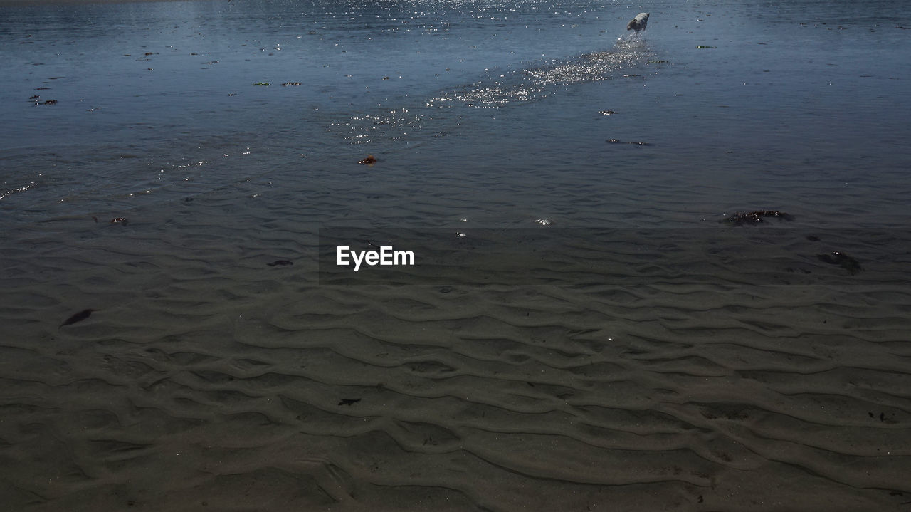 FULL FRAME SHOT OF WET SAND