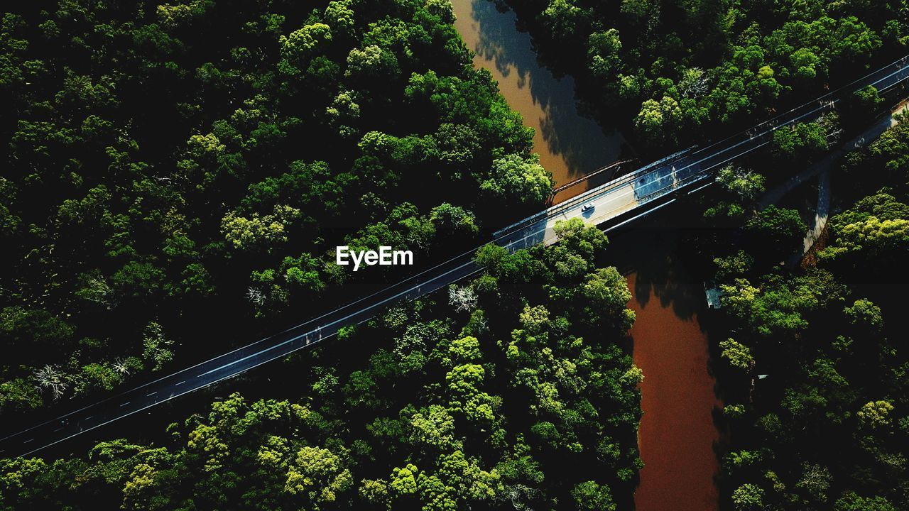 Aerial view of bridge amidst trees in forest