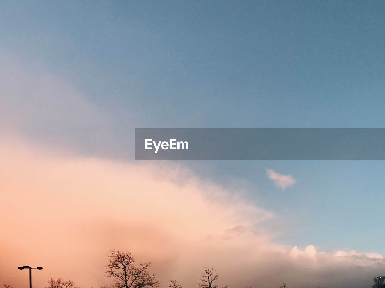 LOW ANGLE VIEW OF TREES AGAINST CLOUDY SKY