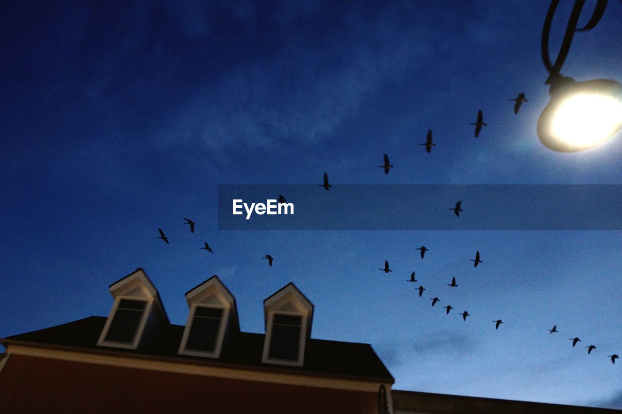 LOW ANGLE VIEW OF BIRDS FLYING OVER SKY