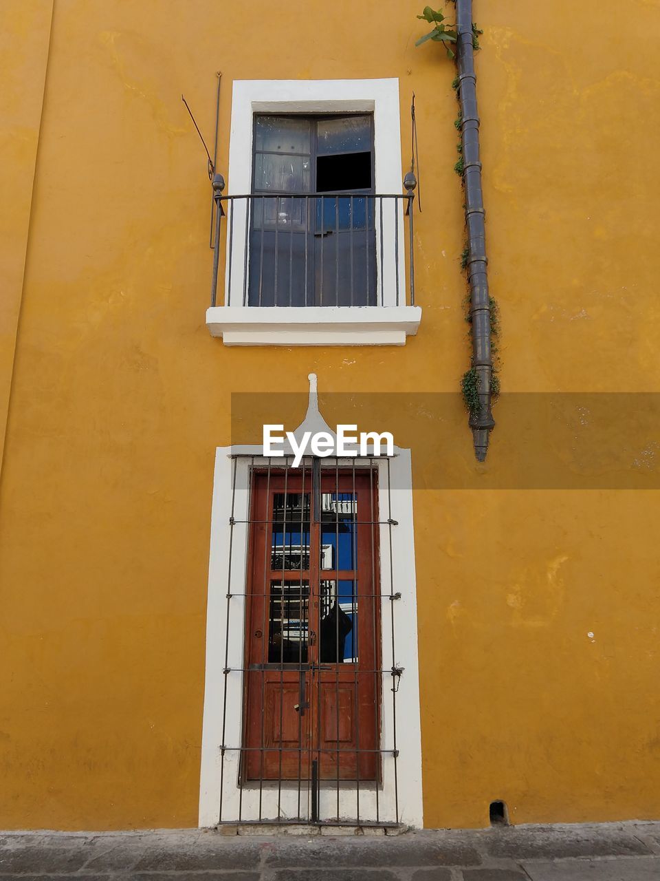 View of closed door and window on yellow wall