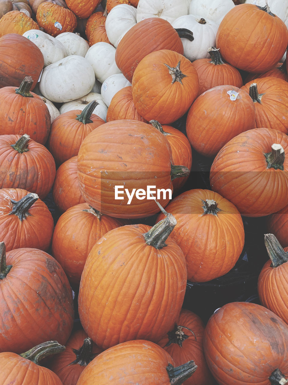 High angle view of pumpkins for sale at market stall