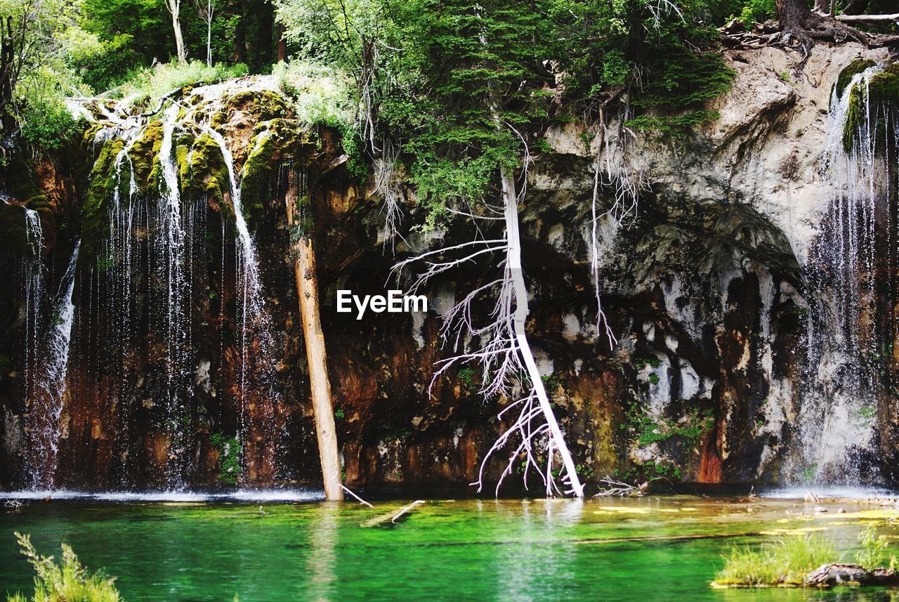 Scenic view of lake in park