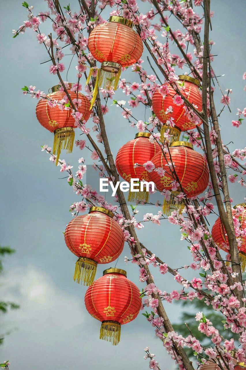 Low angle view of lanterns hanging on tree against cloudy sky