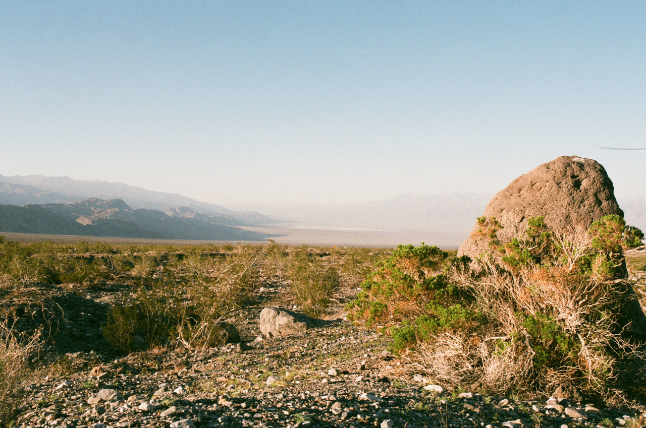 Scenic view of landscape