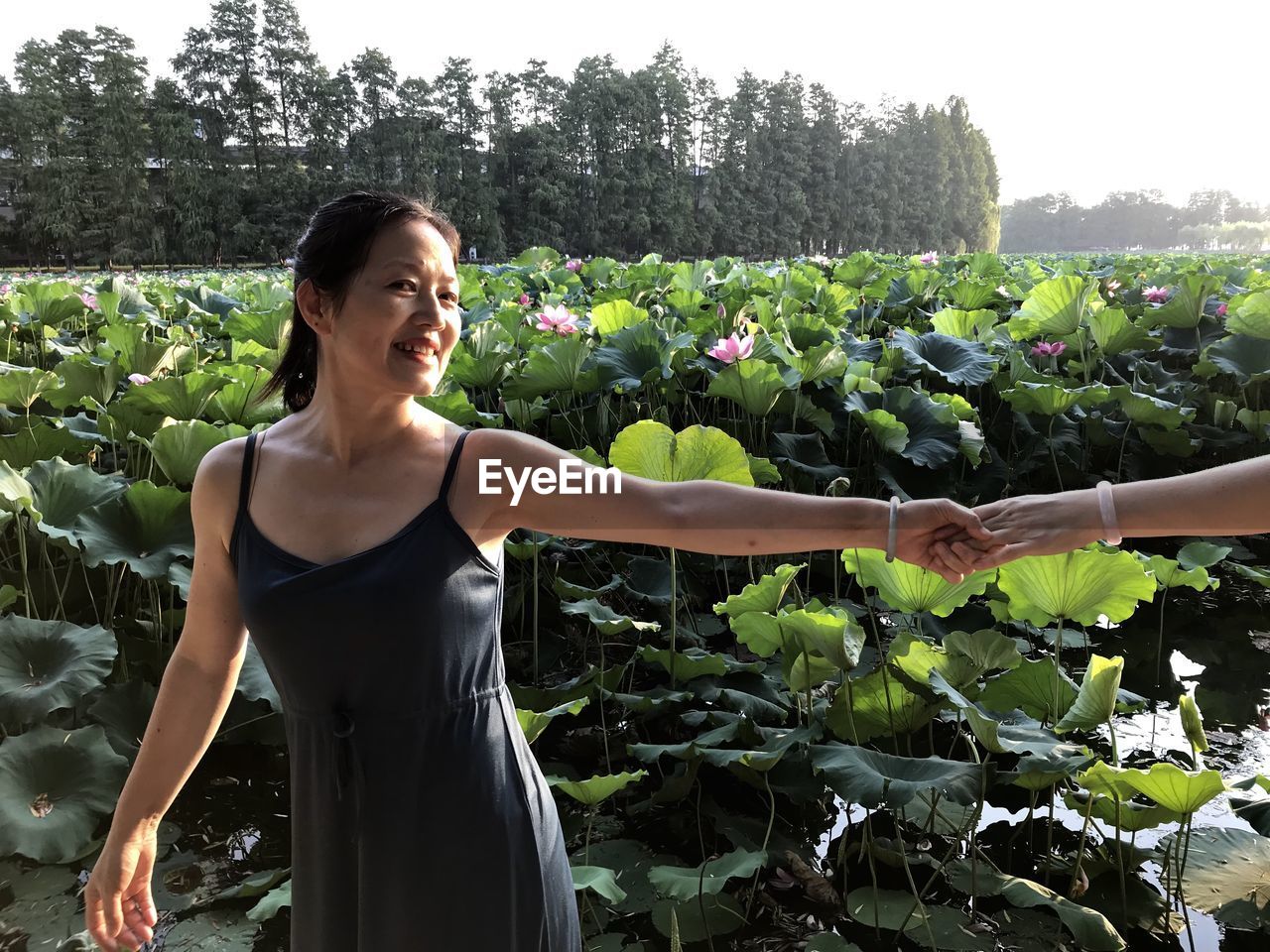 Cropped image of friend holding woman hand against plants
