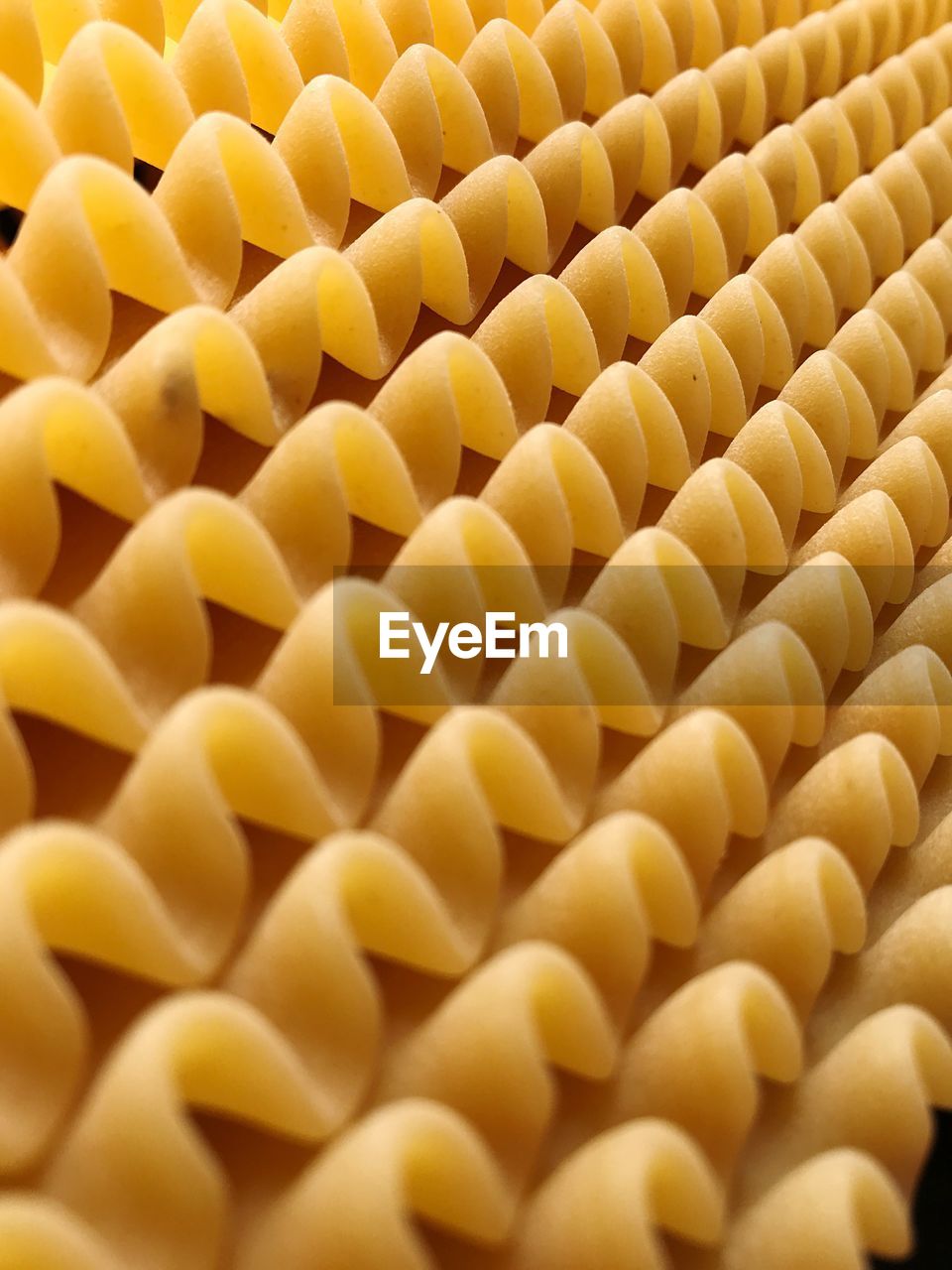 Full frame shot of italian pasta 