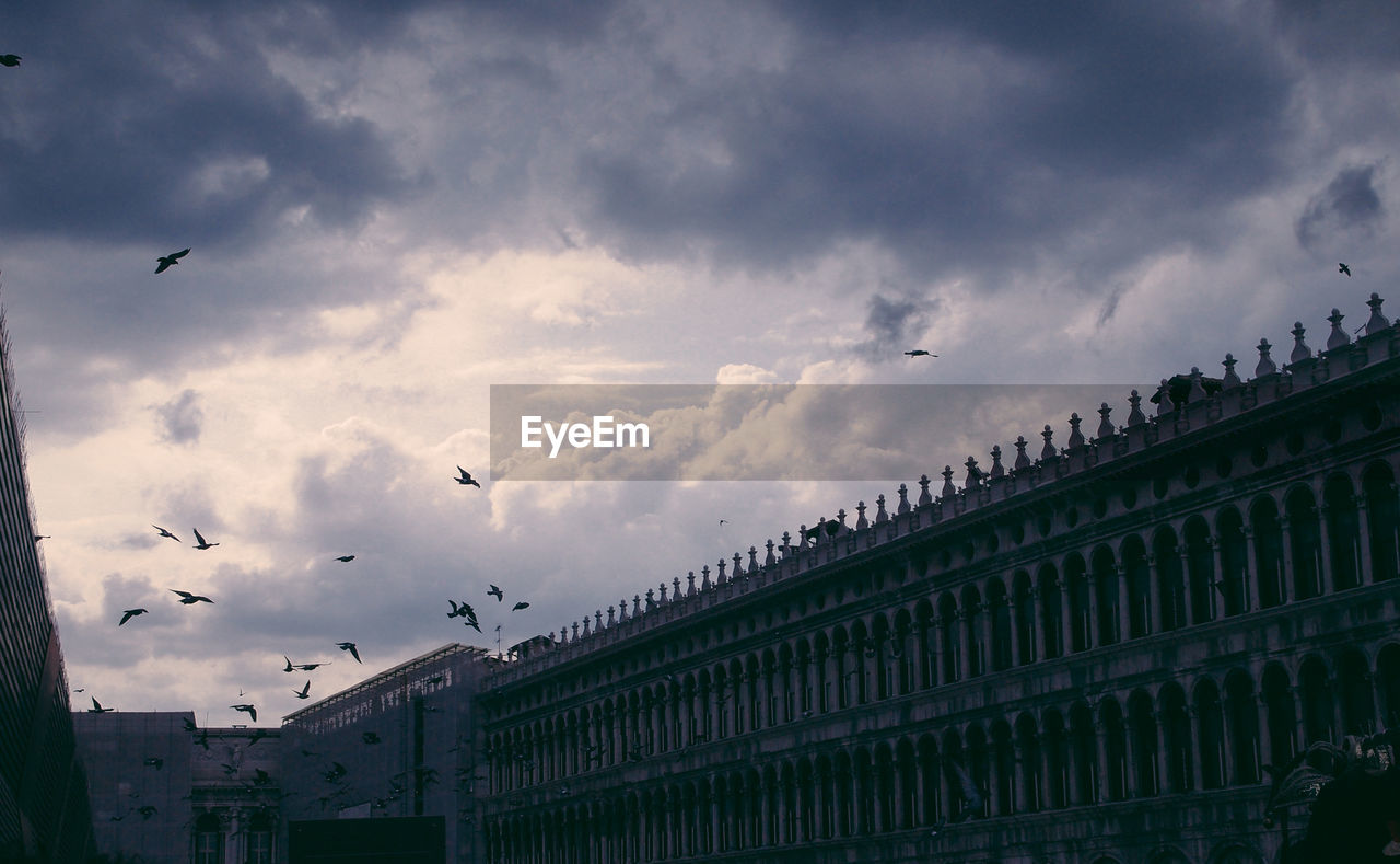 Low angle view of birds flying against cloudy sky