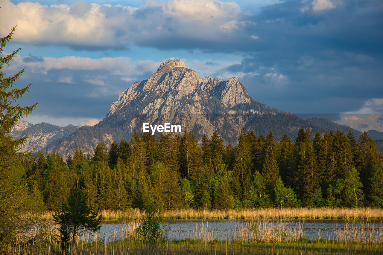 Säuling peak in the golden hour
