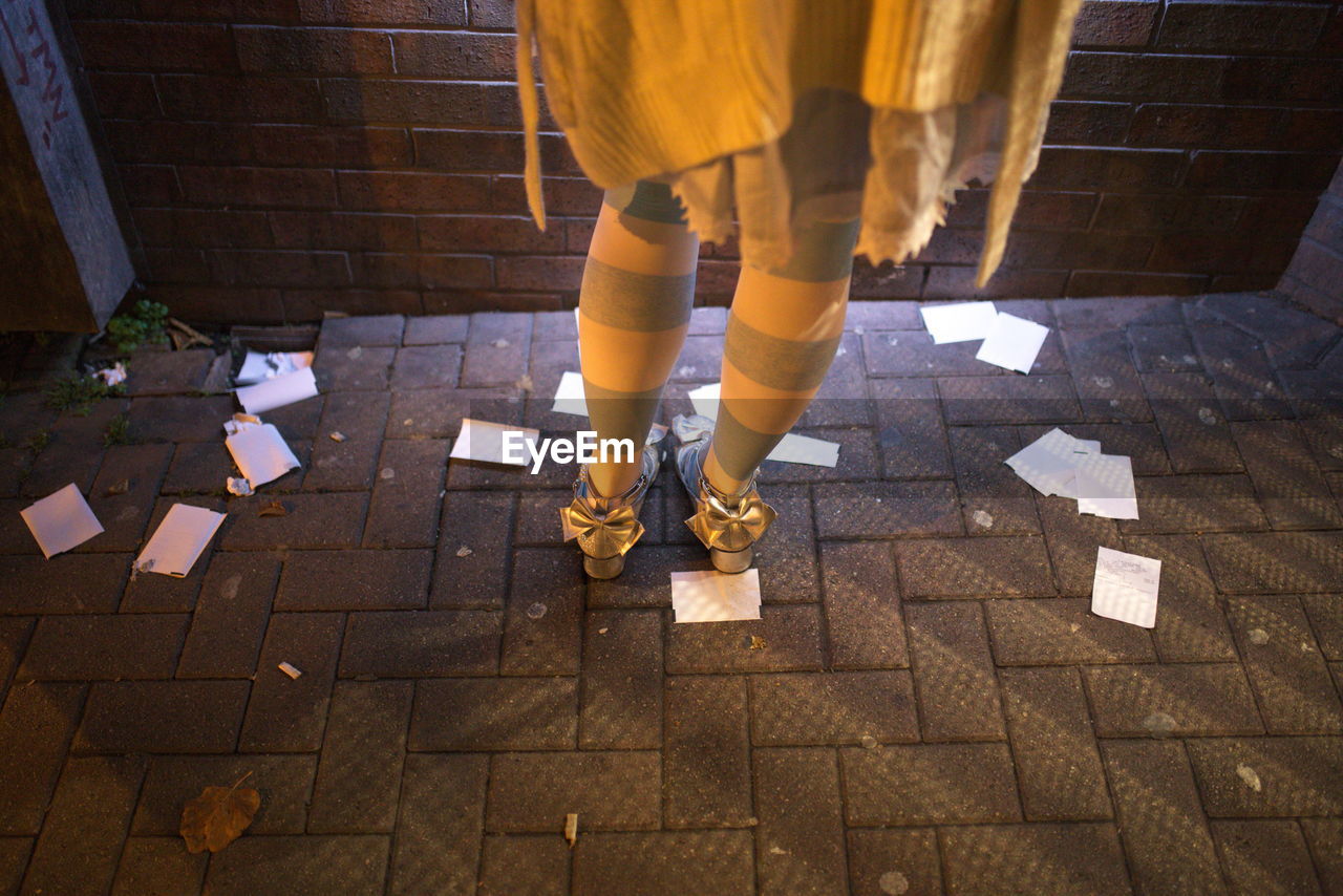 Low section of woman standing on floor