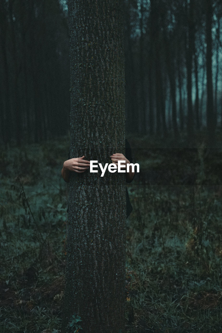 Cropped image of person embracing tree trunk