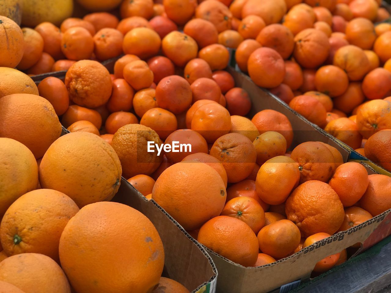 High angle view of fruits for sale at market stall