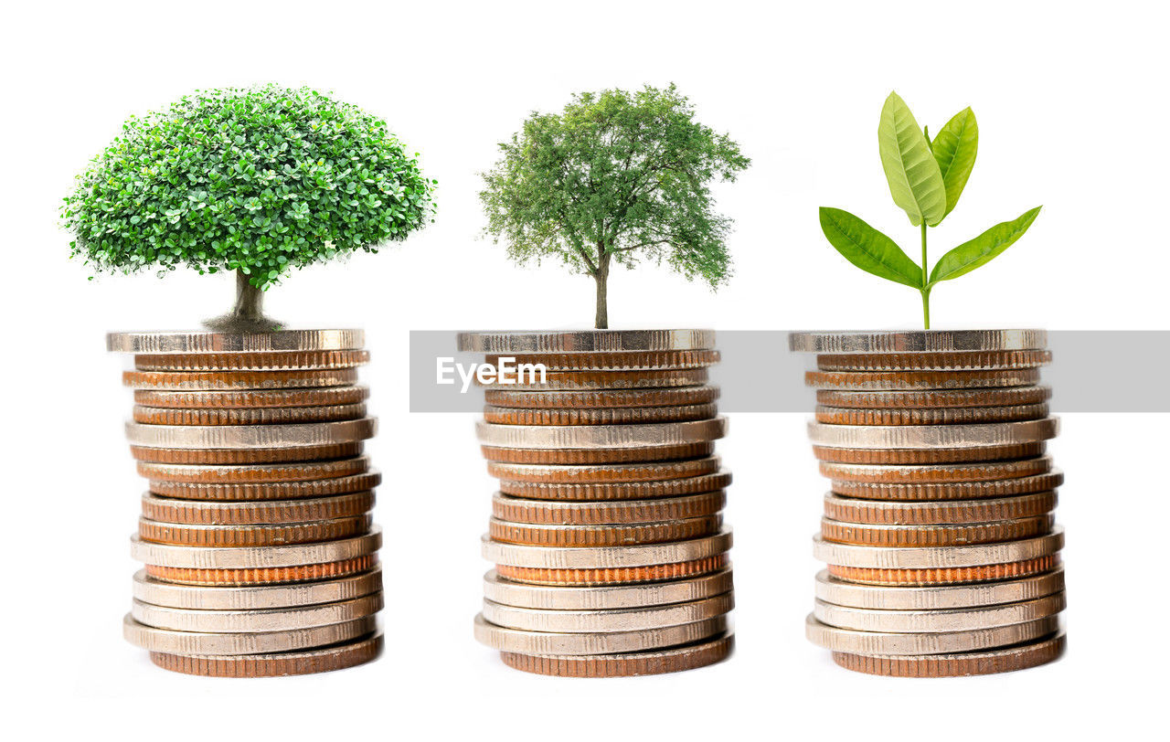 finance, growth, business, savings, money, currency, coin, wealth, plant, cut out, white background, nature, investment, plant part, tree, no people, leaf, large group of objects, studio shot, food, green