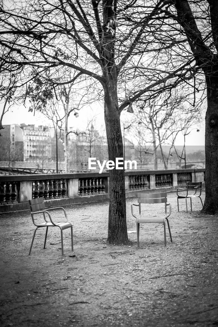 EMPTY PARK BENCH BY BARE TREE AGAINST BUILDINGS IN BACKGROUND