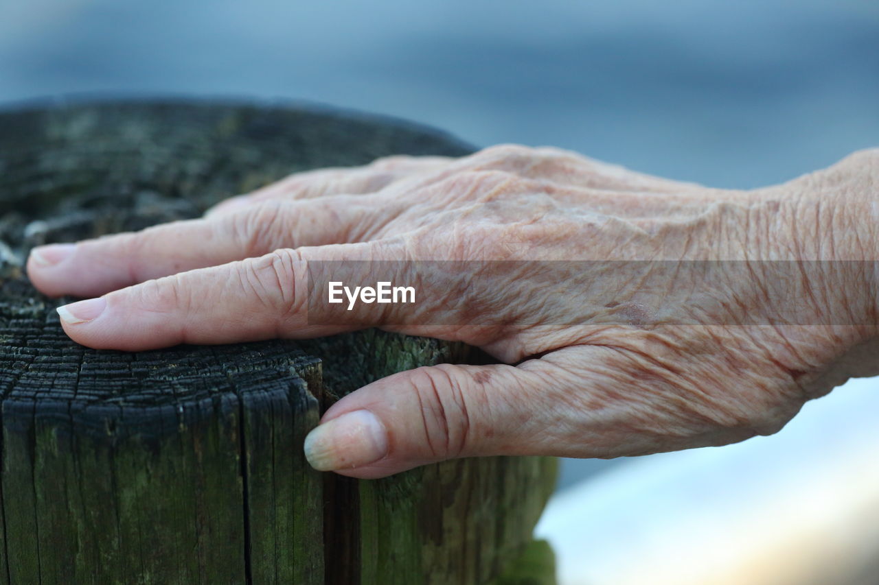 Close-up of wrinkled hand on wood