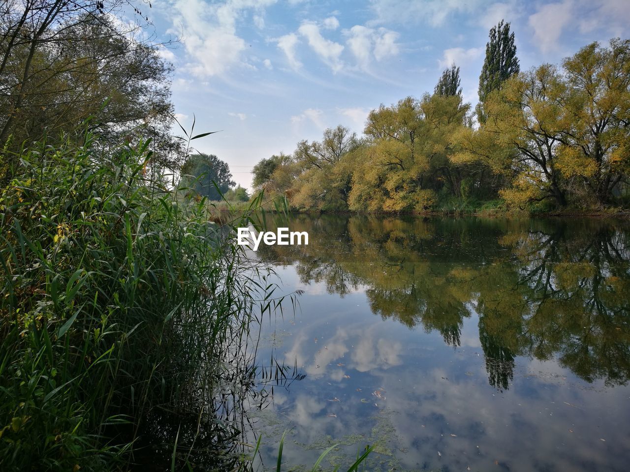 REFLECTION OF TREES ON LAKE AGAINST SKY