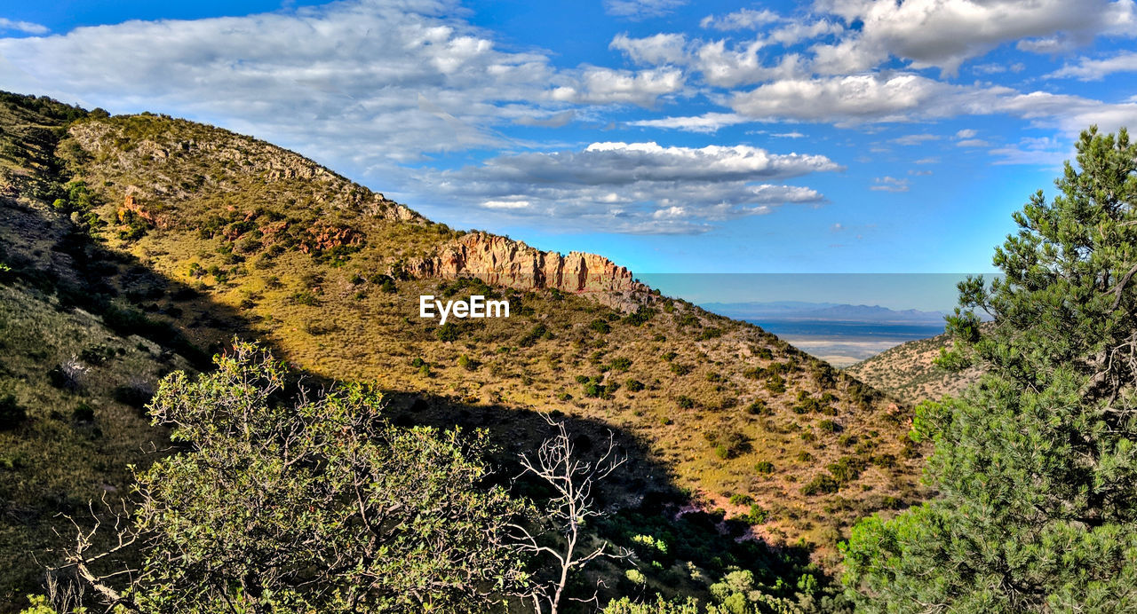 SCENIC VIEW OF TREES AND MOUNTAINS AGAINST SKY