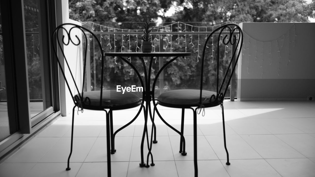 CHAIR AND TREES AGAINST SKY