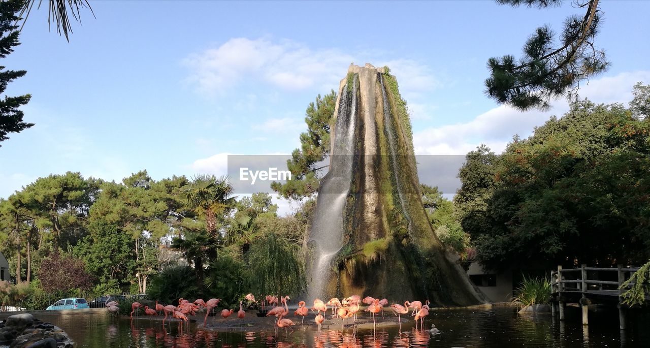 PANORAMIC VIEW OF WATERFALL