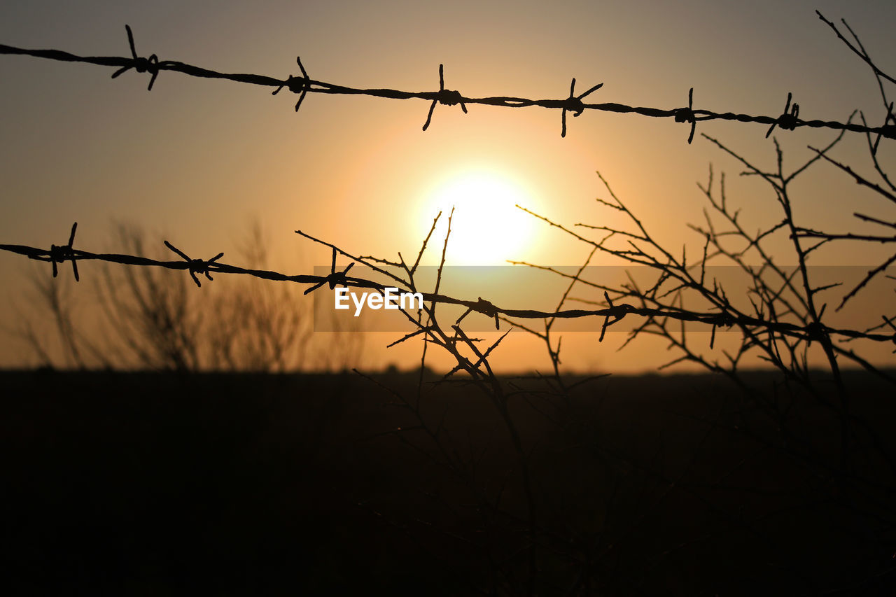 CLOSE-UP OF SILHOUETTE BARBED WIRE AGAINST ORANGE SKY