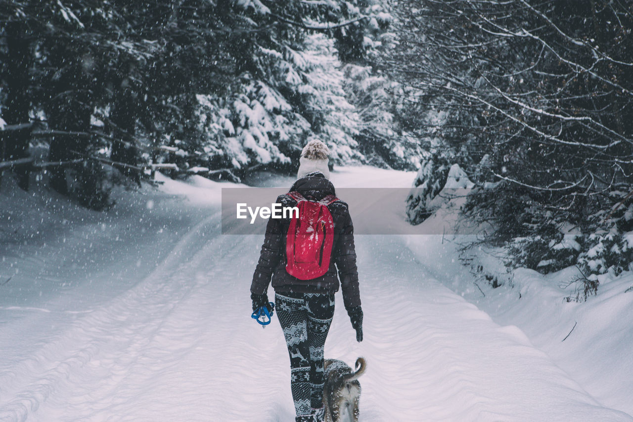 Rear view of woman on snow covered path among trees