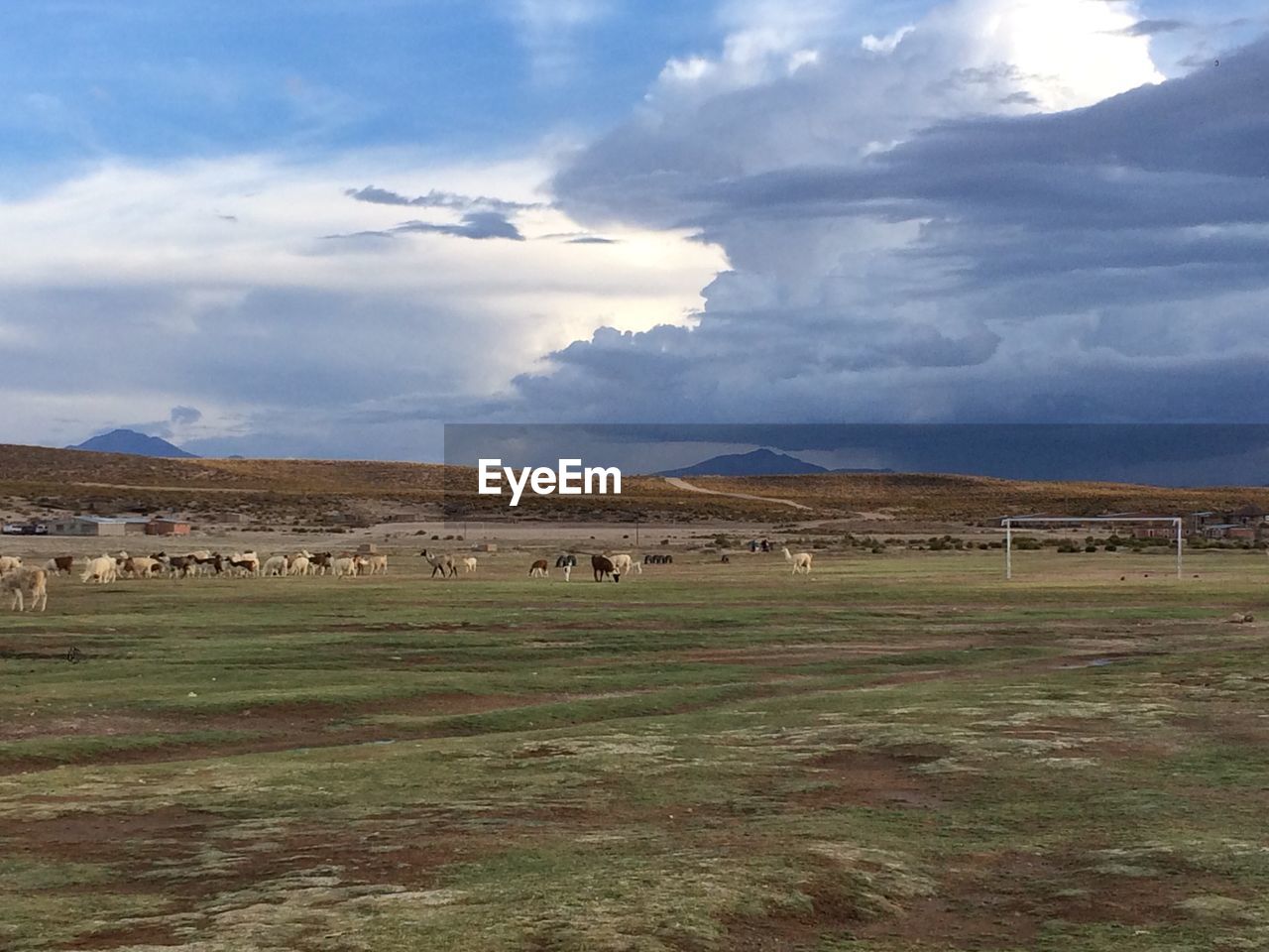 SCENIC VIEW OF FARM AGAINST SKY