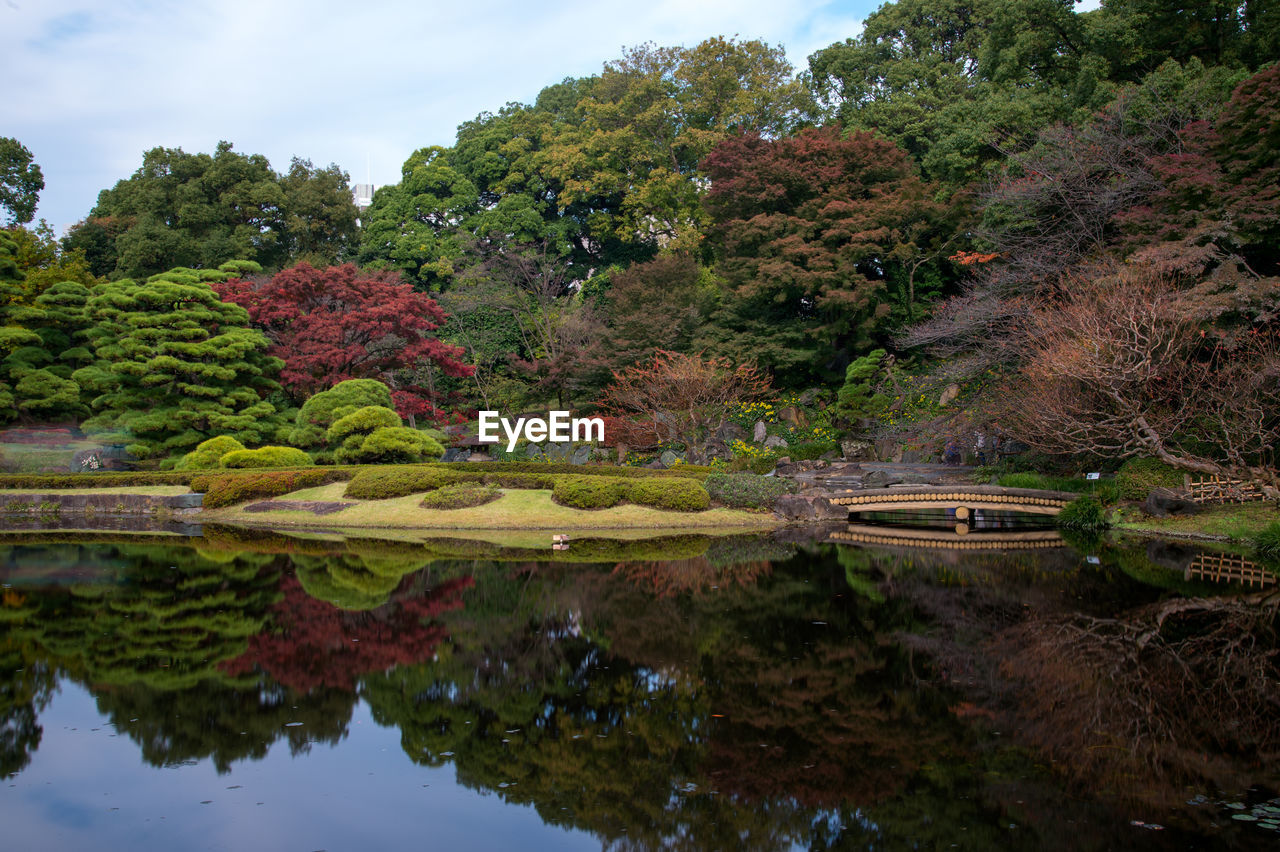 Autumn leaves scenery with japanese garden in japan