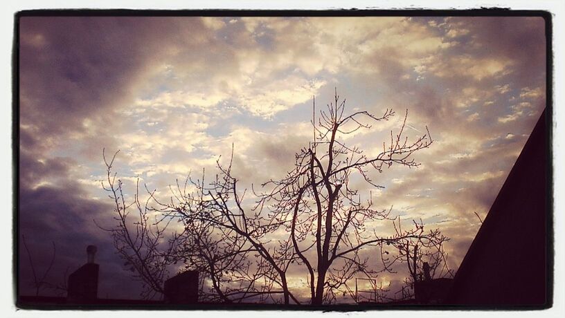 SILHOUETTE BARE TREE AGAINST CLOUDY SKY