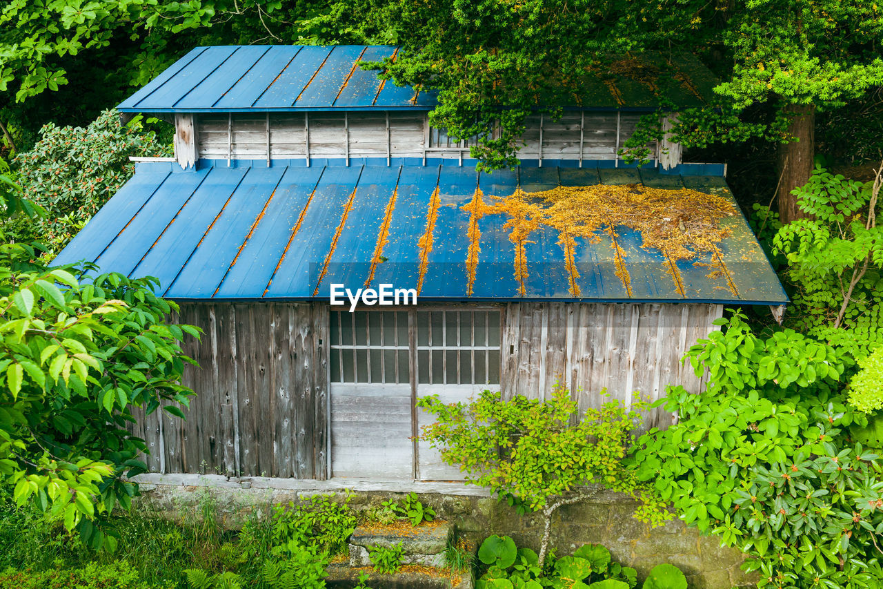 plant, architecture, built structure, nature, building exterior, tree, garden, green, house, roof, growth, day, no people, backyard, building, outdoors, rural area, outdoor structure, yard, lawn, cottage, shed, environmental conservation, wood, flower