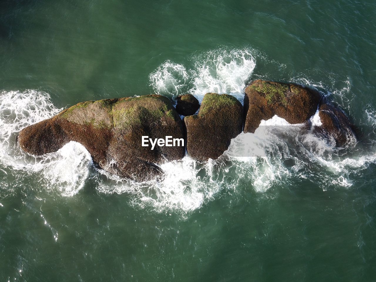 HIGH ANGLE VIEW OF CRAB IN SEA