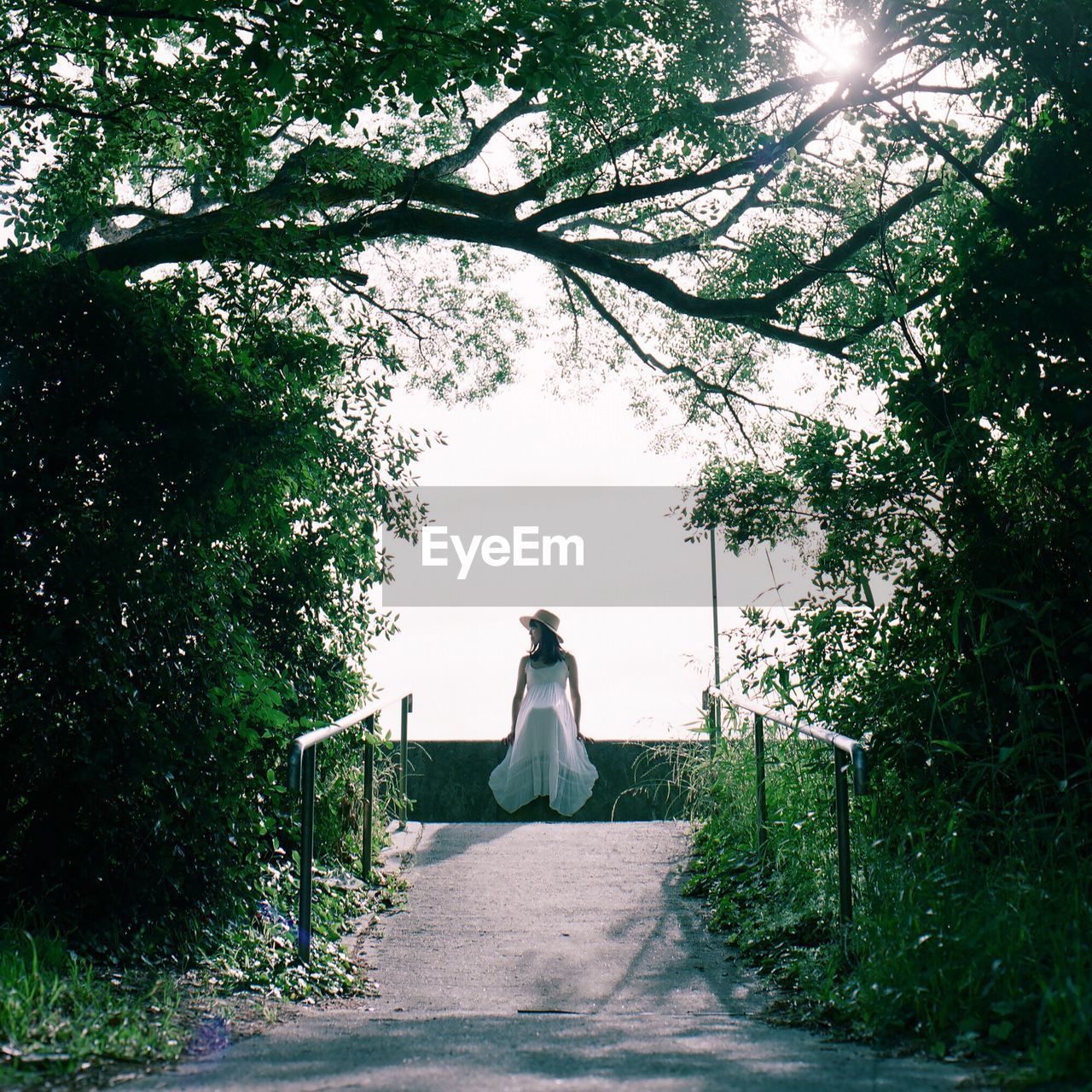 REAR VIEW OF WOMAN STANDING AGAINST TREES