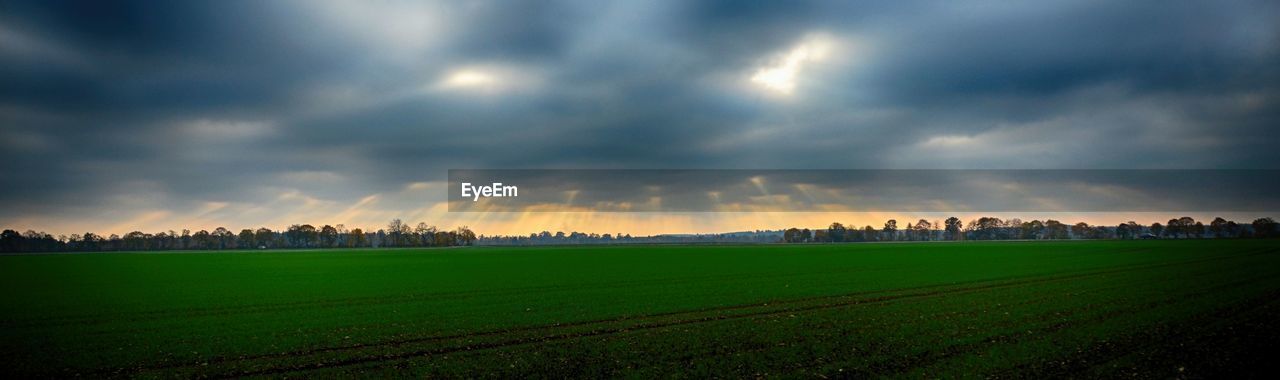 Panoramic shot of agricultural field against sky