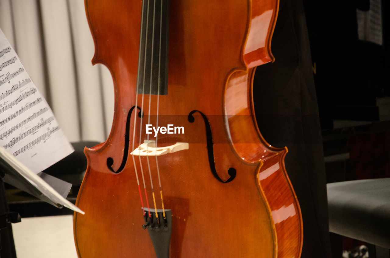 Close-up of violin