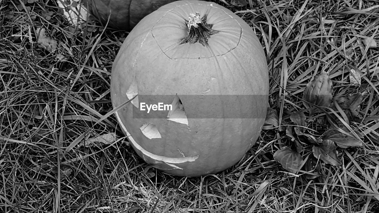 HIGH ANGLE VIEW OF PUMPKIN FACE ON GRASS AT HOME