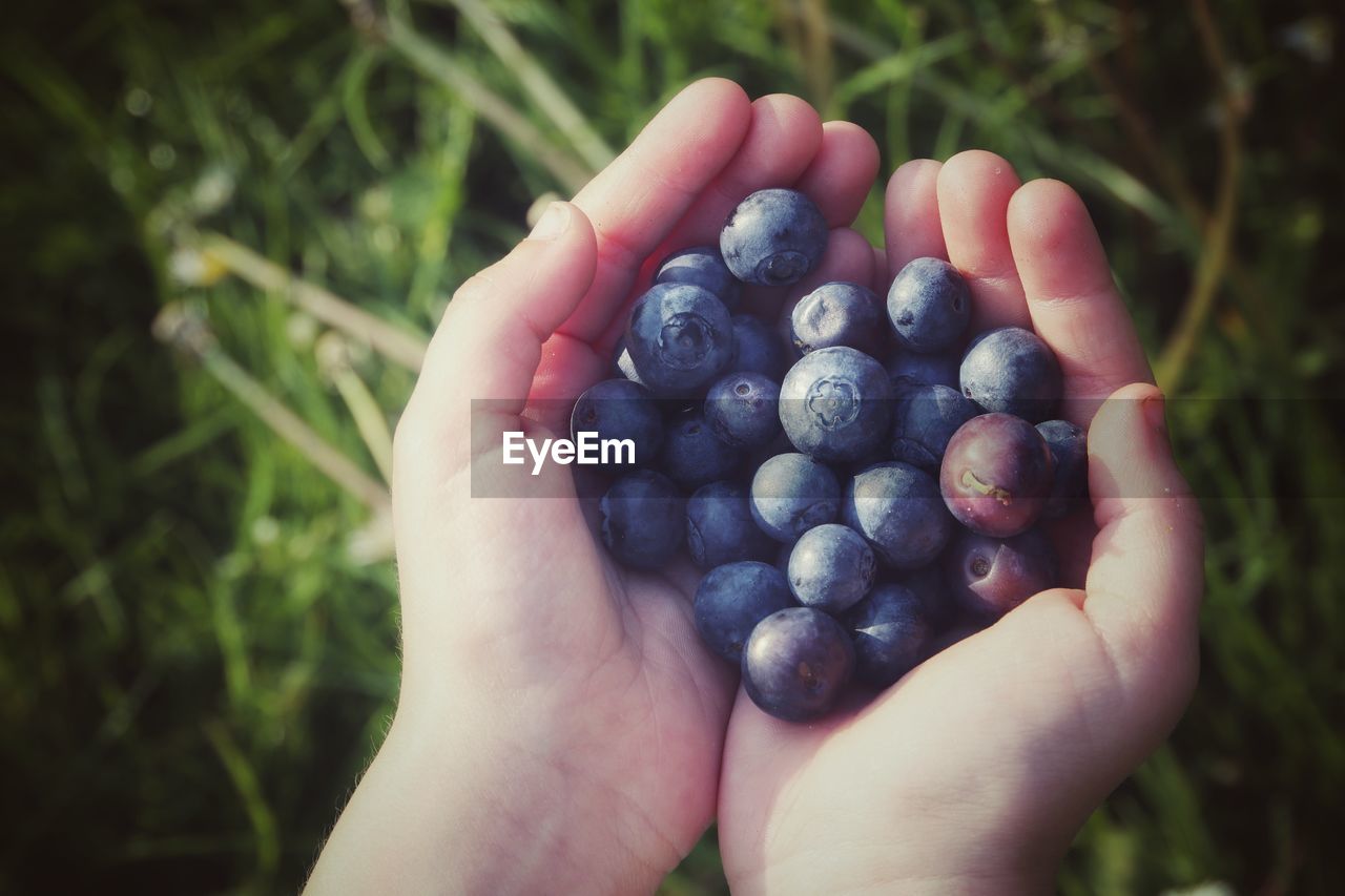 Cropped hands holding blueberries