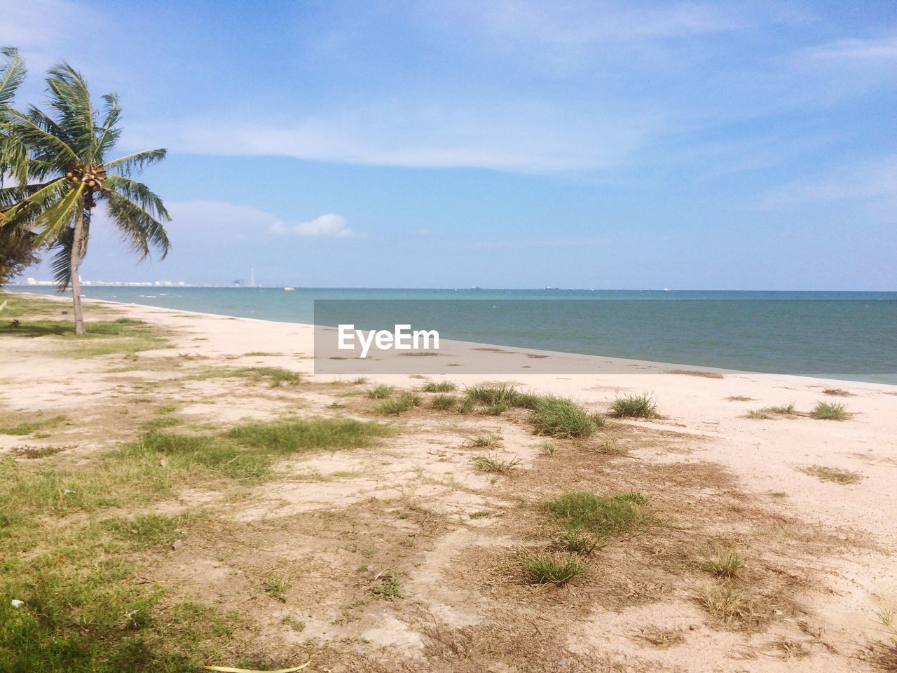 SCENIC VIEW OF BEACH