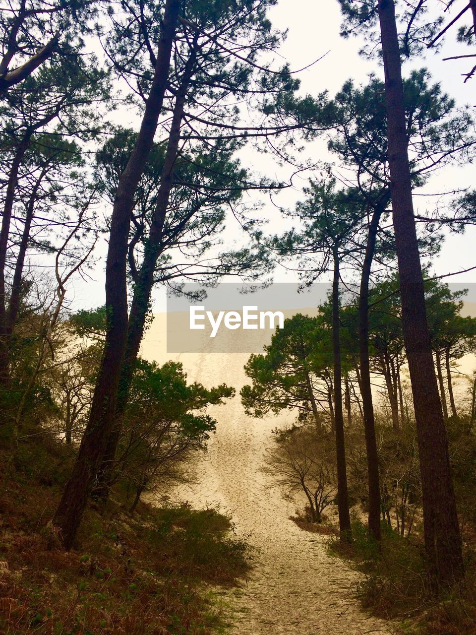 SCENIC VIEW OF BEACH