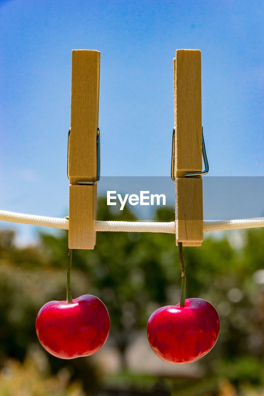 Close-up of cherries hanging with clothespins on rope