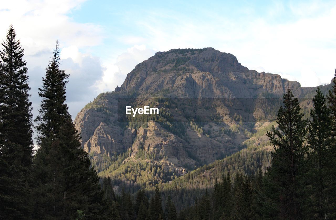 Low angle view of mountains and trees against cloudy sky at yellowstone national park