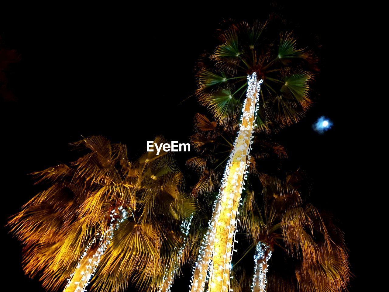 LOW ANGLE VIEW OF FIREWORKS IN NIGHT SKY