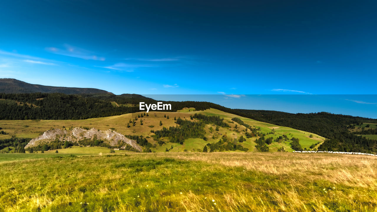 SCENIC VIEW OF LANDSCAPE AGAINST BLUE SKY