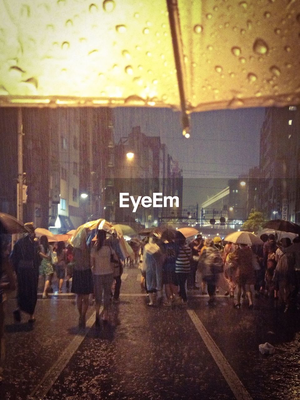 Rear view of people with umbrellas on street