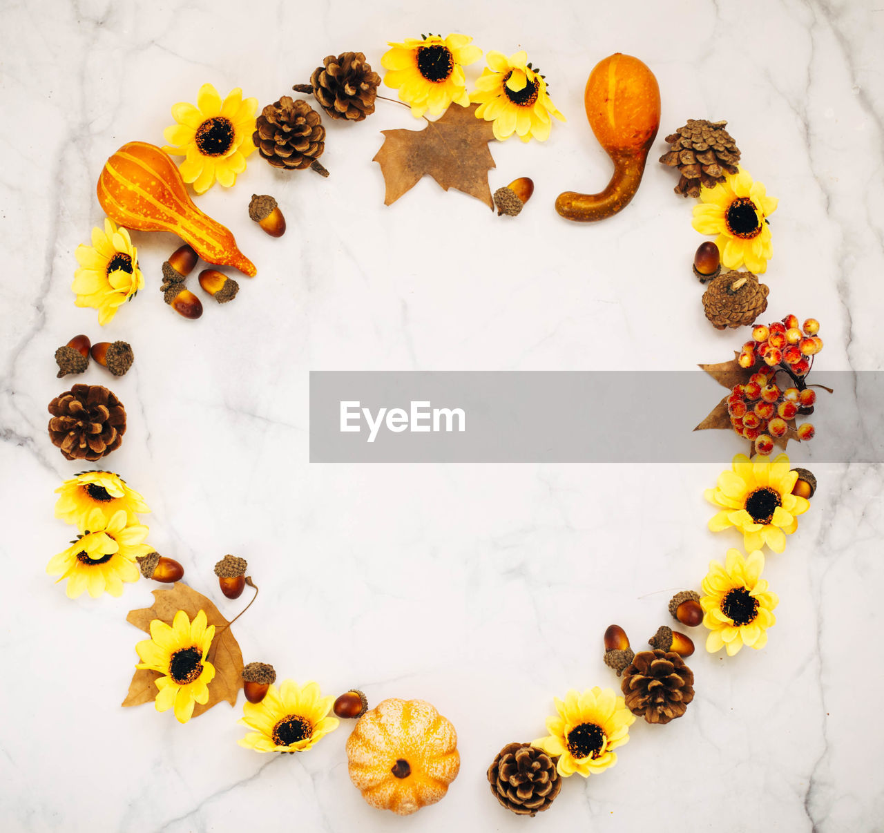 Top view of circle composition surrounded by sunflowers, pumpkins, leaves, acorns, pine cones 