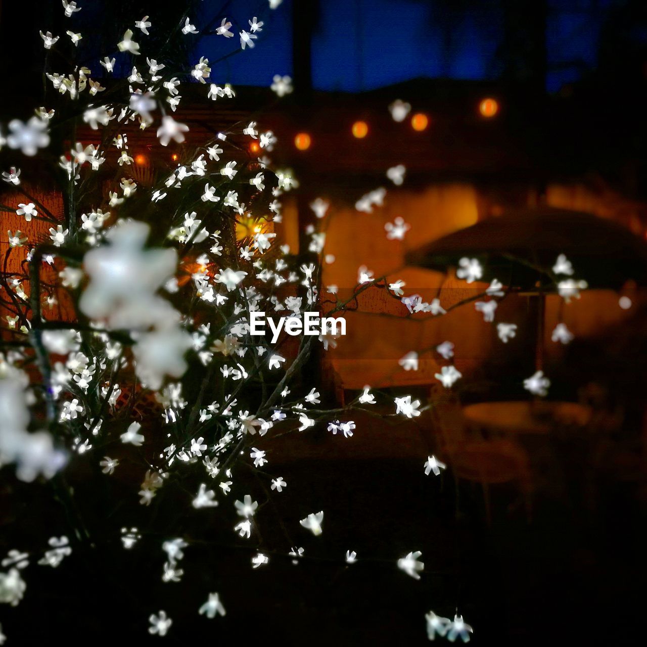 CLOSE-UP OF ILLUMINATED CHRISTMAS TREE