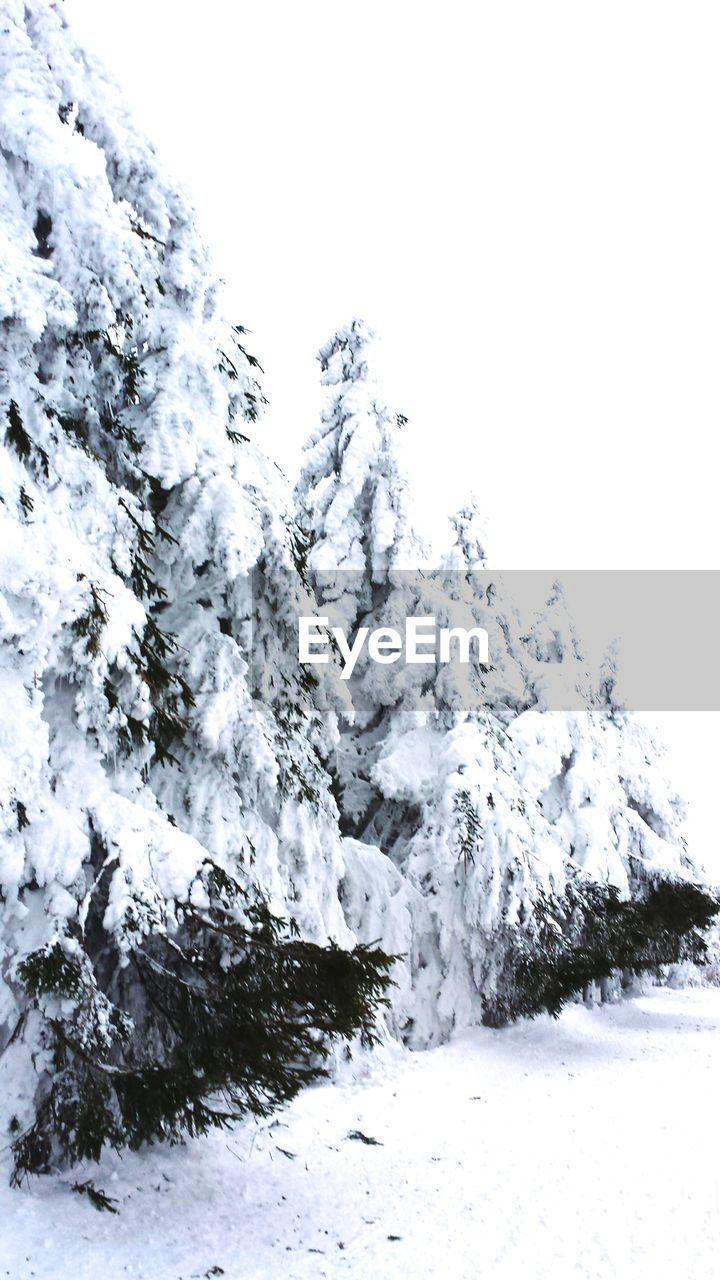 SCENIC VIEW OF SNOW COVERED MOUNTAIN