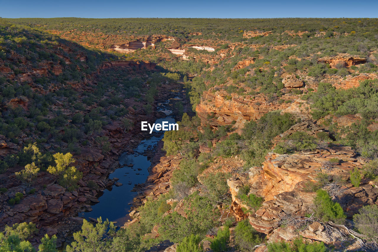 HIGH ANGLE VIEW OF TREES AND ROCKS ON LAND