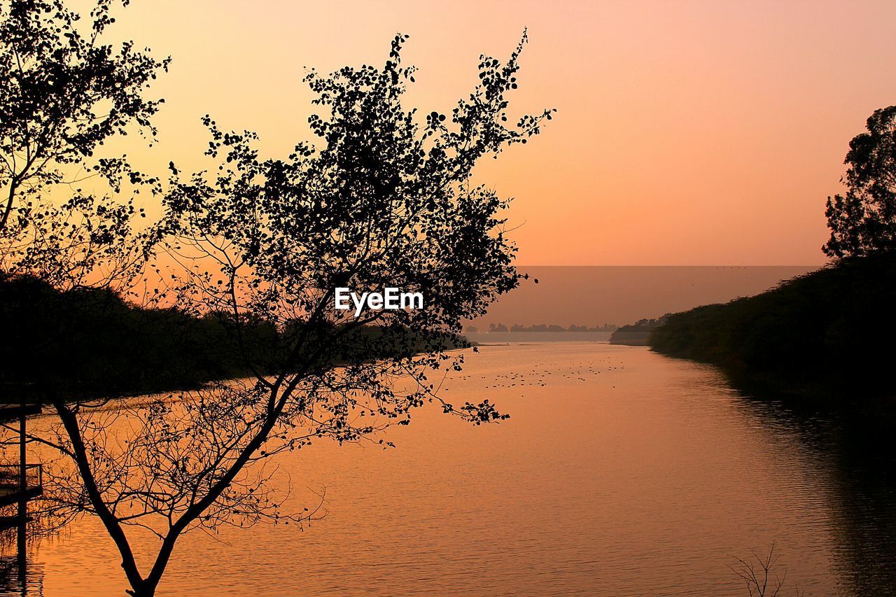 Silhouette tree by river against orange sunset sky